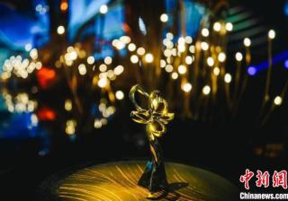 白玉兰奖揭晓 彰显电视艺术行业多元发展趋势