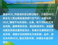 岩溶碳汇——大自然的绿色存钱罐