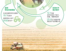 一粒小麦的“产业链之旅”（“三夏”一线探新迹）